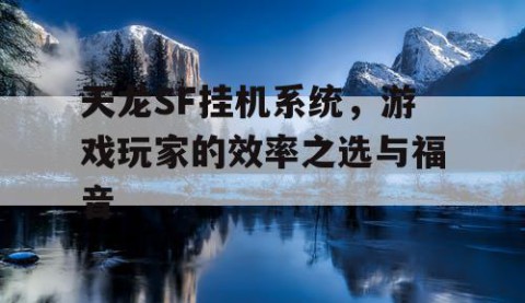 天龙SF挂机系统，游戏玩家的效率之选与福音