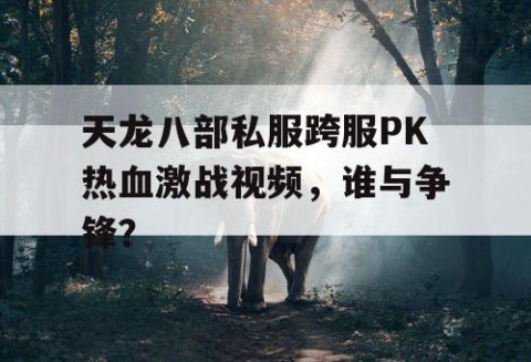 天龙八部私服跨服PK热血激战视频，谁与争锋？