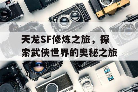 天龙SF修炼之旅，探索武侠世界的奥秘之旅