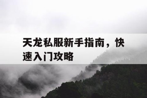 天龙私服新手指南，快速入门攻略