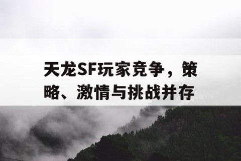 天龙SF玩家竞争，策略、激情与挑战并存