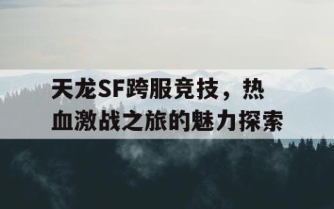 天龙SF跨服竞技，热血激战之旅的魅力探索