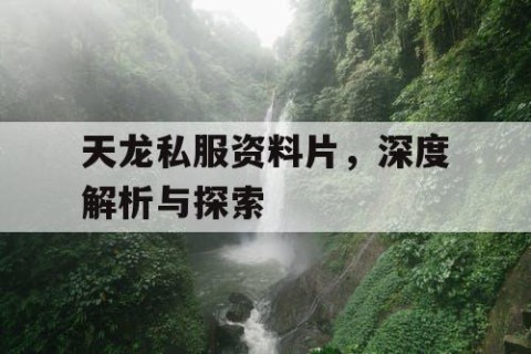 天龙私服资料片，深度解析与探索