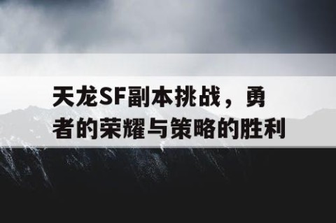 天龙SF副本挑战，勇者的荣耀与策略的胜利