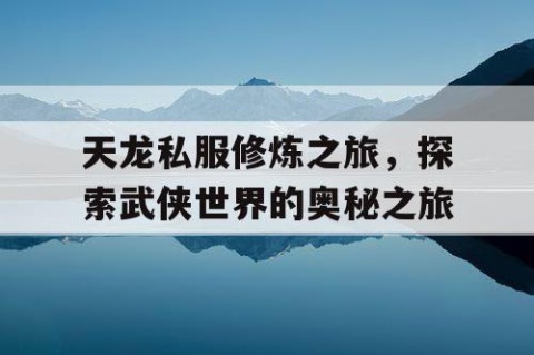 天龙私服修炼之旅，探索武侠世界的奥秘之旅