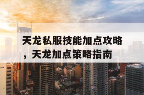 天龙私服技能加点攻略，天龙加点策略指南