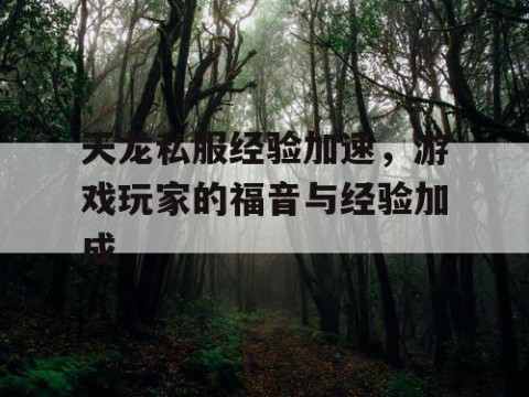 天龙私服经验加速，游戏玩家的福音与经验加成