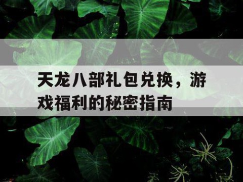 天龙八部礼包兑换，游戏福利的秘密指南