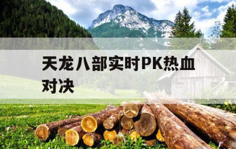 天龙八部实时PK热血对决