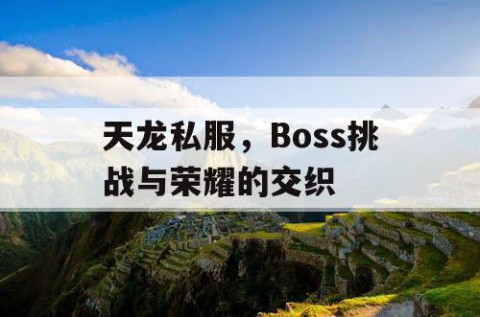 天龙私服，Boss挑战与荣耀的交织