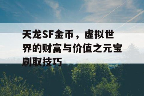 天龙SF金币，虚拟世界的财富与价值之元宝刷取技巧