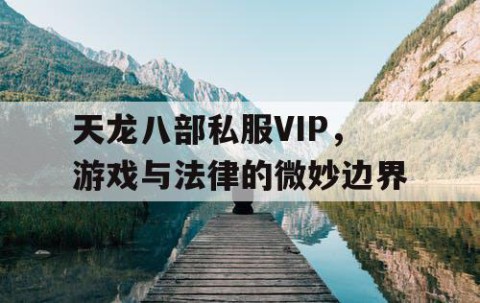 天龙八部私服VIP，游戏与法律的微妙边界