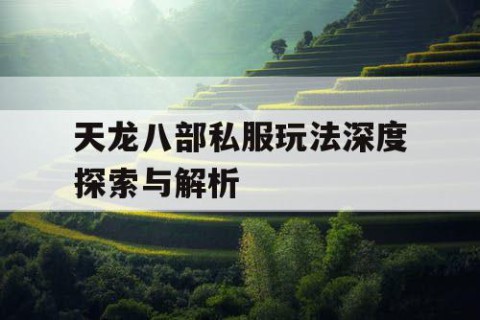 天龙八部私服玩法深度探索与解析