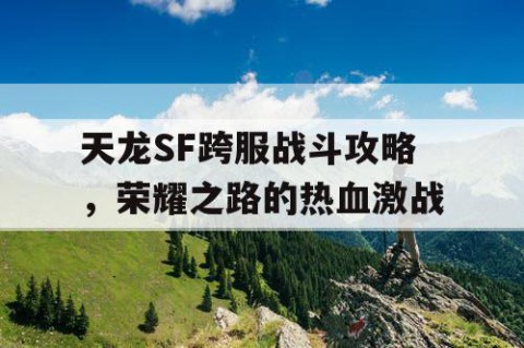 天龙SF跨服战斗攻略，荣耀之路的热血激战