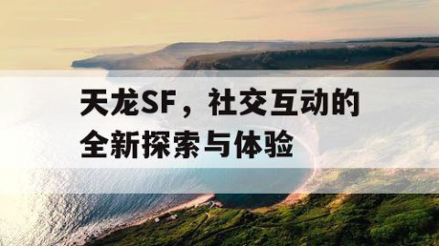 天龙SF，社交互动的全新探索与体验