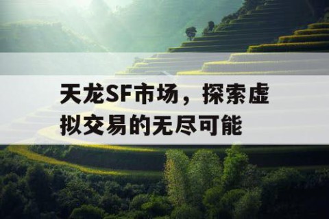 天龙SF市场，探索虚拟交易的无尽可能