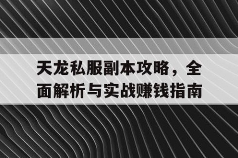 天龙私服副本攻略，全面解析与实战赚钱指南