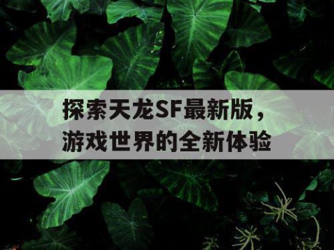 探索天龙SF最新版，游戏世界的全新体验