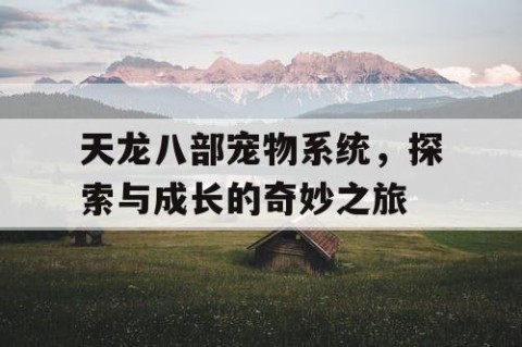 天龙八部宠物系统，探索与成长的奇妙之旅