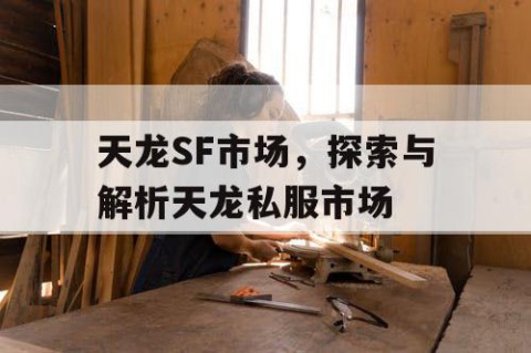 天龙SF市场，探索与解析天龙私服市场