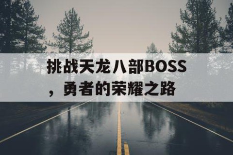 挑战天龙八部BOSS，勇者的荣耀之路