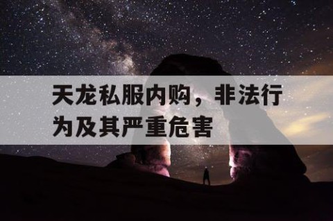 天龙私服内购，非法行为及其严重危害