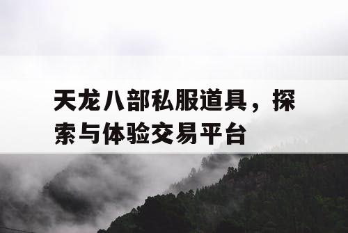 天龙八部私服道具，探索与体验交易平台