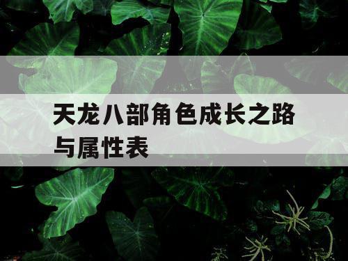 天龙八部角色成长之路与属性表