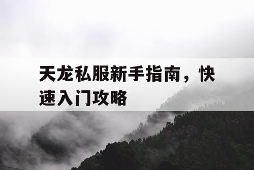 天龙私服新手指南，快速入门攻略