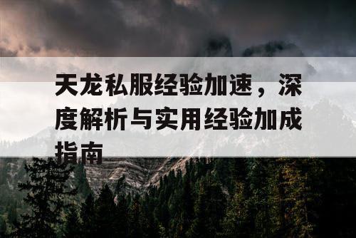 天龙私服经验加速，深度解析与实用经验加成指南