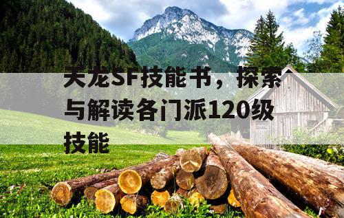 天龙SF技能书，探索与解读各门派120级技能