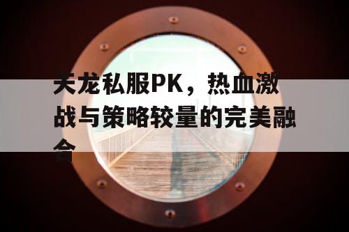 天龙私服PK，热血激战与策略较量的完美融合