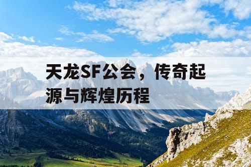 天龙SF公会，传奇起源与辉煌历程