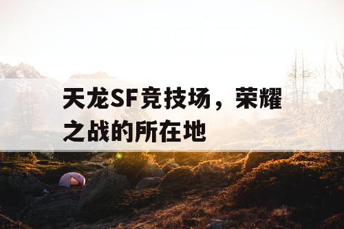 天龙SF竞技场，荣耀之战的所在地