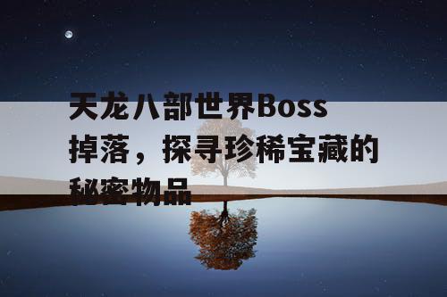 天龙八部世界Boss掉落，探寻珍稀宝藏的秘密物品