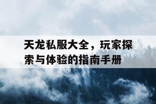 天龙私服大全	，玩家探索与体验的指南手册