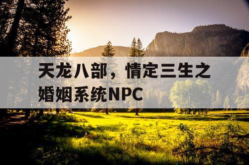 天龙八部，情定三生之婚姻系统NPC