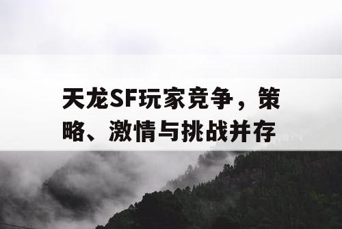 天龙SF玩家竞争，策略、激情与挑战并存