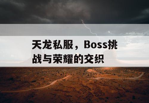 天龙私服，Boss挑战与荣耀的交织