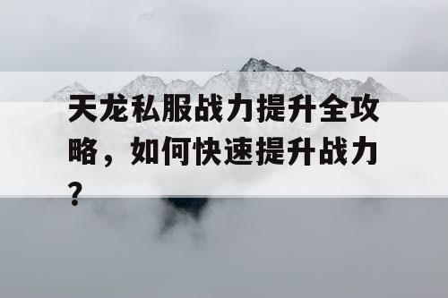 天龙私服战力提升全攻略，如何快速提升战力？