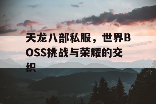 天龙八部私服，世界BOSS挑战与荣耀的交织