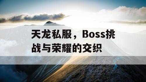 天龙私服，Boss挑战与荣耀的交织