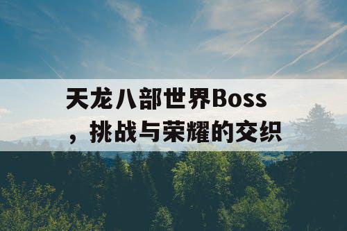 天龙八部世界Boss，挑战与荣耀的交织