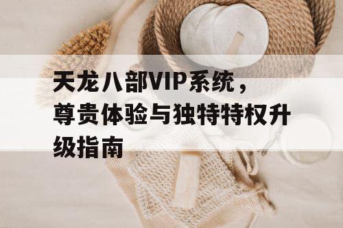 天龙八部VIP系统	，尊贵体验与独特特权升级指南