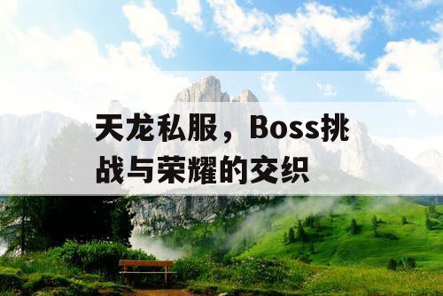 天龙私服	，Boss挑战与荣耀的交织