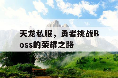 天龙私服	，勇者挑战Boss的荣耀之路