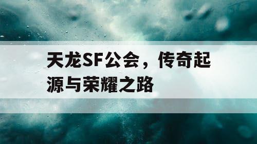 天龙SF公会	，传奇起源与荣耀之路