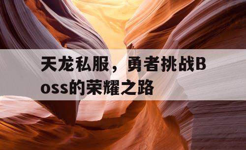 天龙私服，勇者挑战Boss的荣耀之路