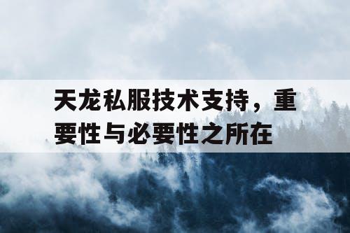 天龙私服技术支持，重要性与必要性之所在