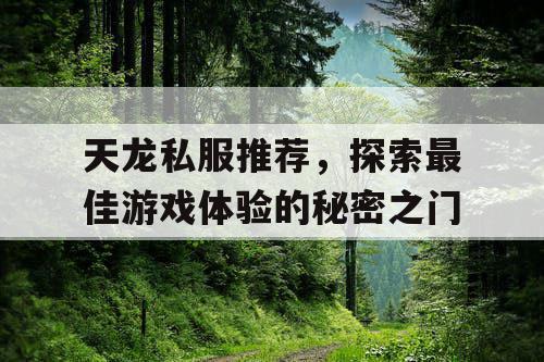 天龙私服推荐，探索最佳游戏体验的秘密之门